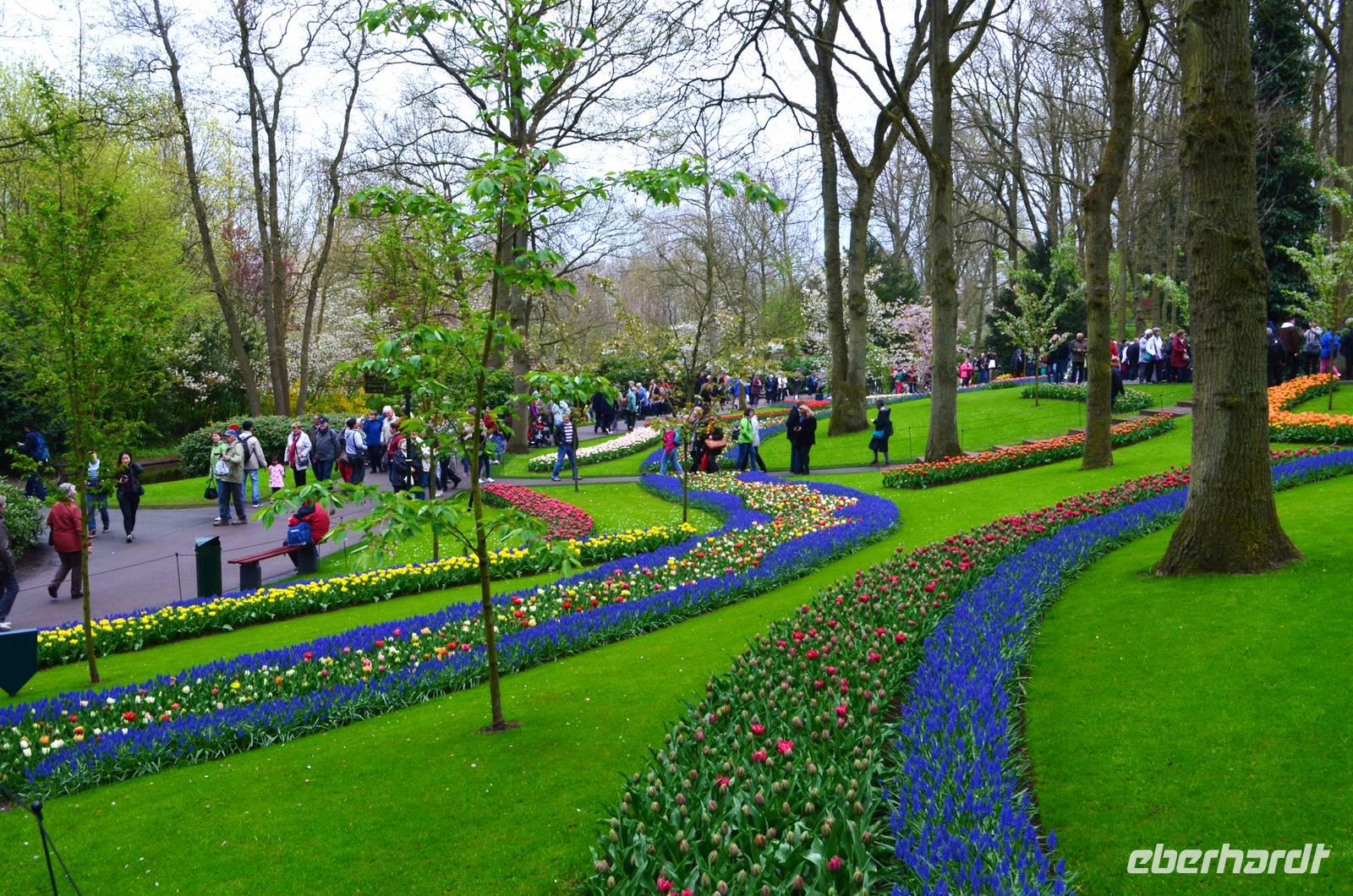085 Holland, Impressionen im Keukenhof