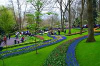 085 Holland, Impressionen im Keukenhof