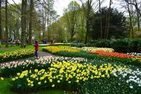 089 Holland, Impressionen im Keukenhof