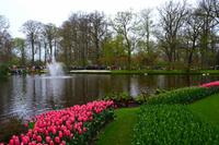 090 Holland, Impressionen im Keukenhof
