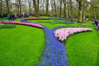 091 Holland, Impressionen im Keukenhof