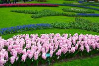 092 Holland, Impressionen im Keukenhof