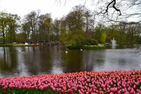 095 Holland, Impressionen im Keukenhof