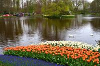 096 Holland, Impressionen im Keukenhof
