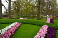 097 Holland, Impressionen im Keukenhof