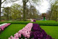 098 Holland, Impressionen im Keukenhof