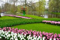 100 Holland, Impressionen im Keukenhof