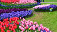 110 Holland, Impressionen im Keukenhof