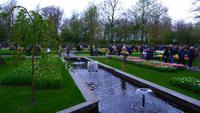 114 Holland, Impressionen im Keukenhof