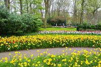122 Holland, Impressionen im Keukenhof