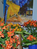 137 Holland, Impressionen im Keukenhof, van Gogh Schau im Oranje Nassau Pavillion