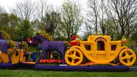 160 Holland, Blumenkorso beim Keukenhof