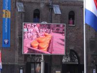 Käsemarkt in Alkmaar