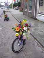 Zum Blumencorso in Sassenheim