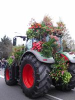 Blumencorso 2015 in Holland