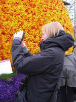 Blumencorso 2015 in Holland - Sassenheim