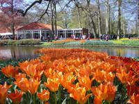 Frühling im Keukenhof