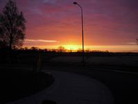 Fahrt zur Blumenversteigerung in Aalsmeer