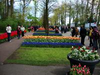 Keukenhof