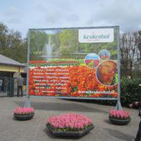 Im Keukenhof