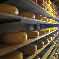 Amstelveen-Rembrandt Hoeve