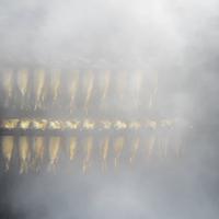 Enkhuizen-im Museumsdorf-Blick in den Räucherofen