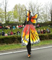 Holland, Blumenkorso beim Keukenhof