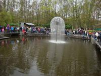 Keukenhof