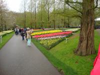 Keukenhof