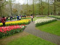 Keukenhof