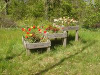 Am Eingang von Lisse