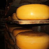 Amstelveen-Rembrandt Hoeve