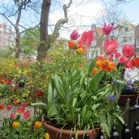 Amsterdam-Begijnhof