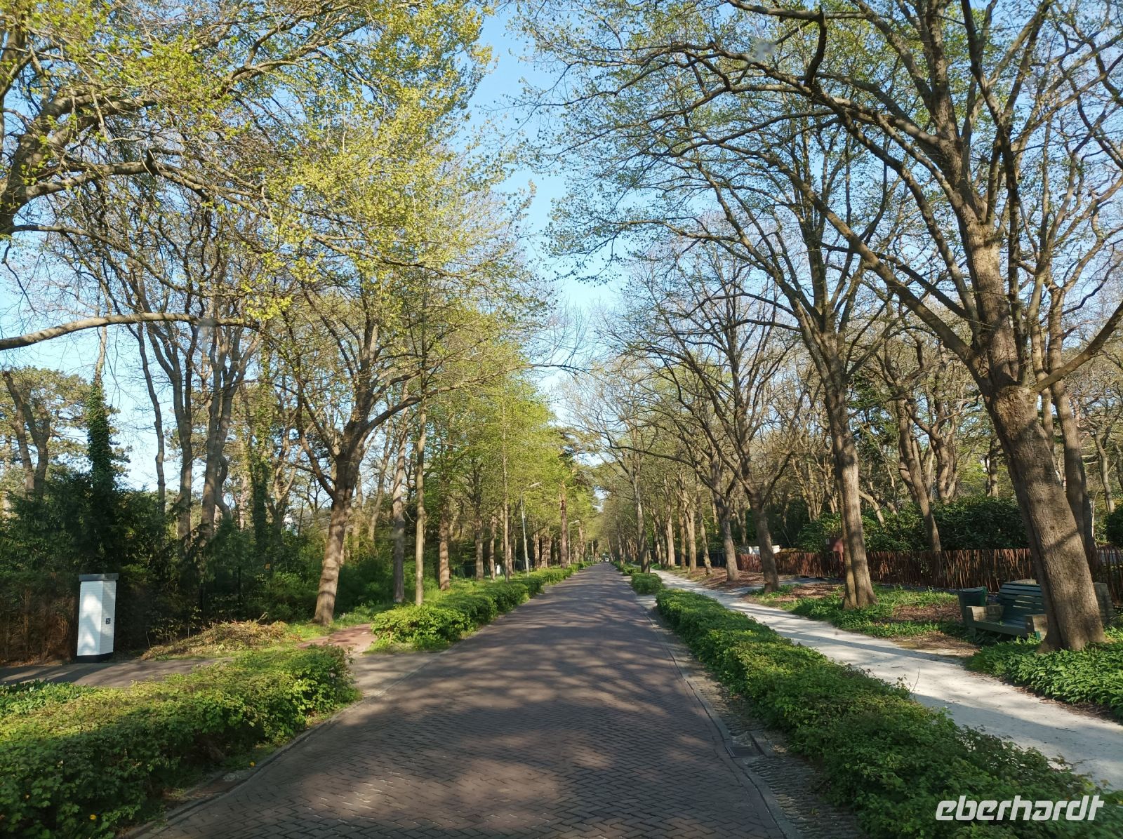 Bergen, Allee 