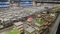 Blick durch die Versteigerungshalle