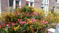 Blumenarangement im Begijnenhof