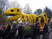 Blumencorso 2015 in Holland