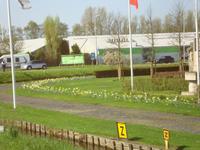 Blumencorso