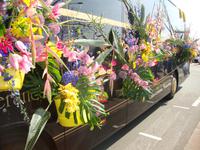 Blumencorso