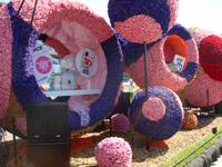 Blumencorso