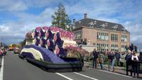 Blumenkorso in der Nähe von Lisse