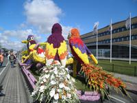Blumenkorso