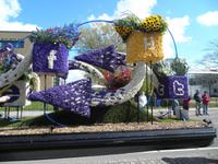 Blumenkorso