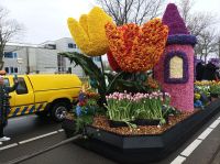 Blumenkorso