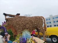Blumenkorso