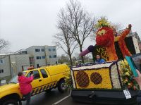 Blumenkorso