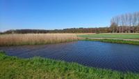 Dazu niederländisch typische Landschaft