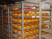 Der Käse lagert