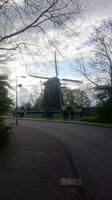 Die Windmühle