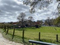 Dorfanger